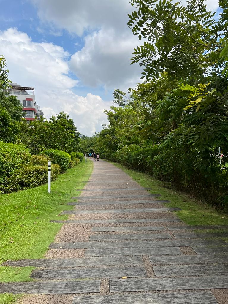 Surroundings