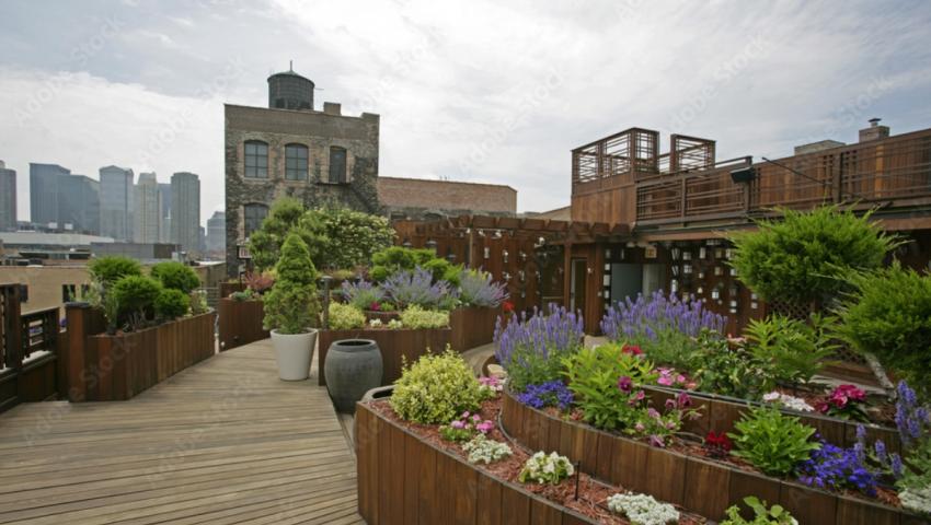 Rooftop Garden